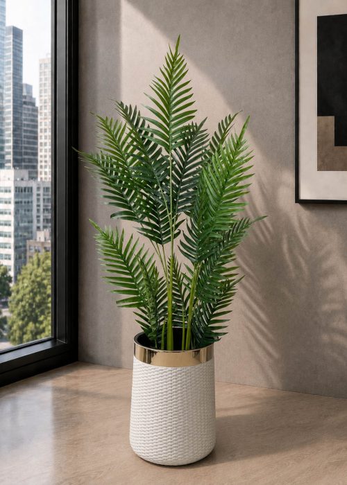 Royal Palm Plant (PL1091)