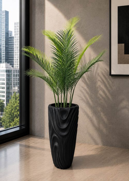 Areca Plam Plant (PL1093)