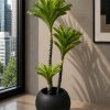 Bromeliad Tree (PL1095)
