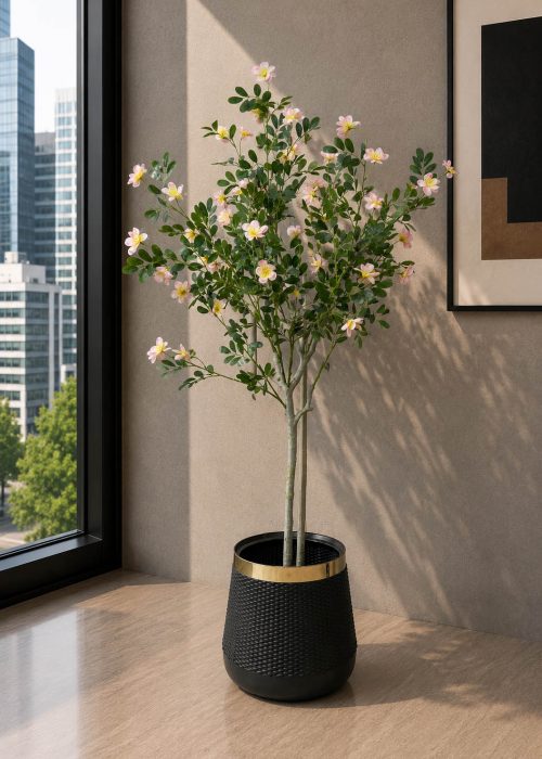 Champa Flower Plant (PL1105)