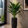 White Champa Flower Plant (PL1106)