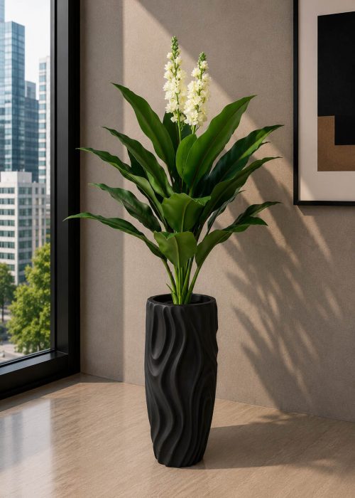 White Champa Flower Plant (PL1106)