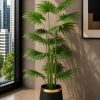 Fan Palm (PL1107)
