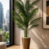 Areca Palm Plant (PL1114)