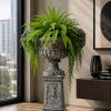 Boston Fern (PL1115)