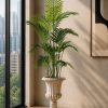 Areca Palm (PL1116)