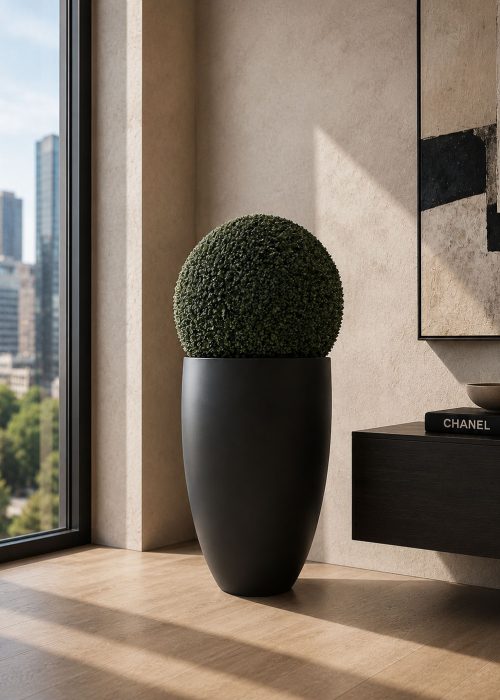Boxwood Topiary Ball Plant (PL1117)