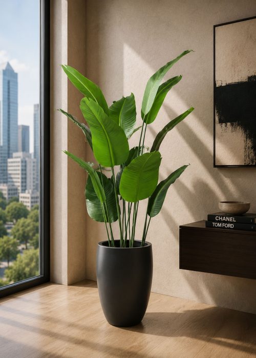 Banana Plant (PL1118)