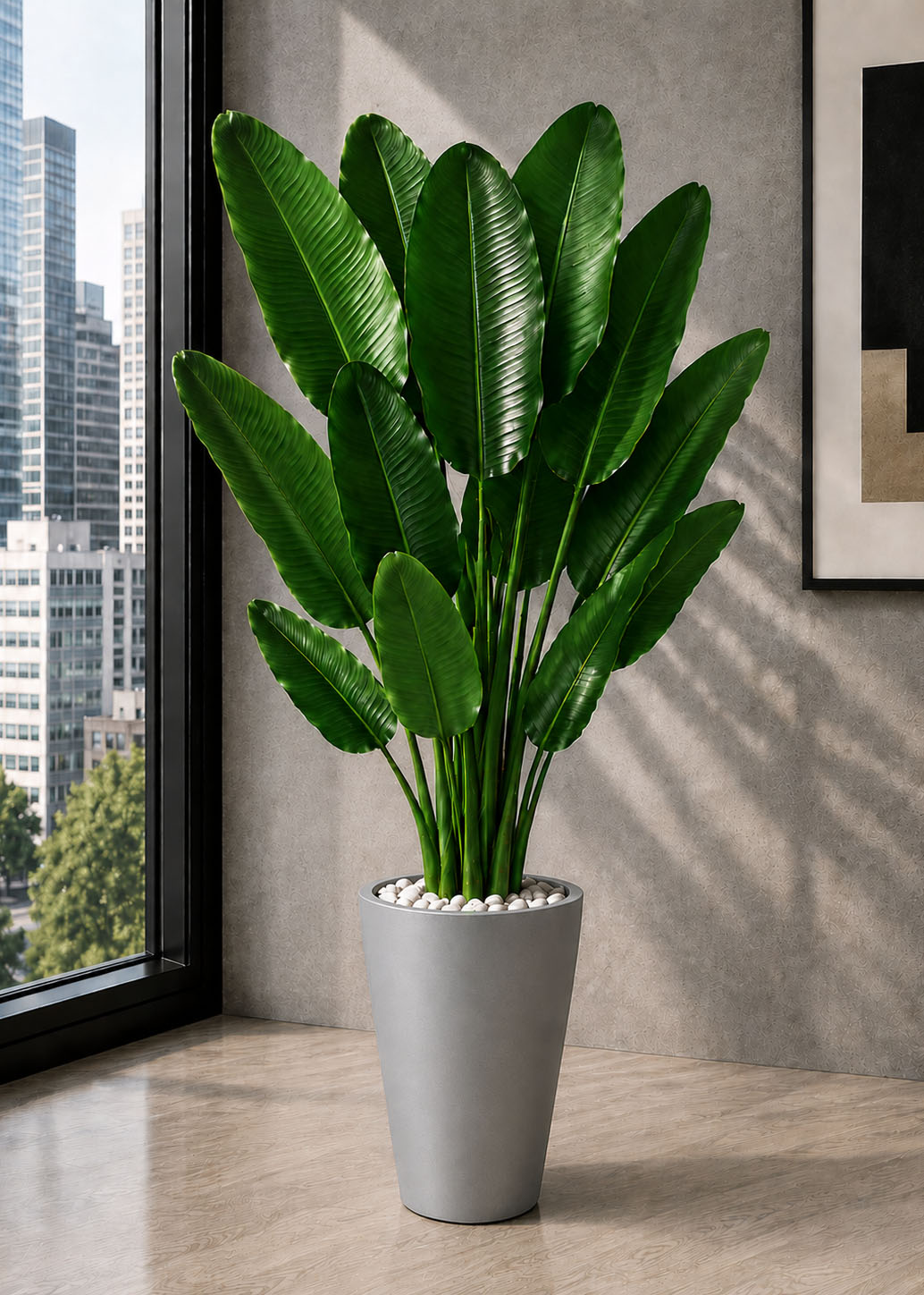 Premium Banana Plant (PL1122) - Image 3