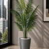 Natural Palm (PL1123)