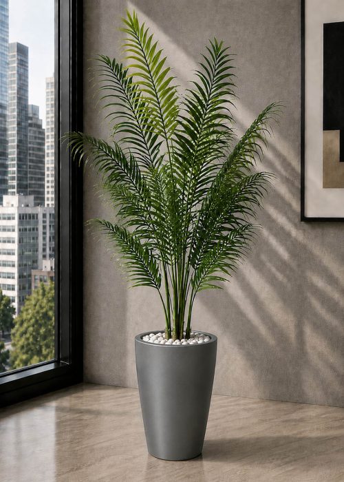 Natural Palm (PL1123)