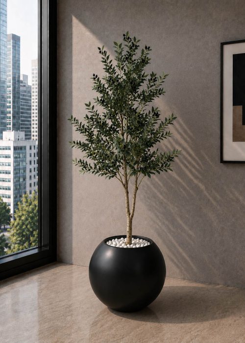 Olive Plant (PL1130)