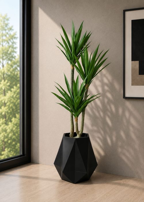 Agave Plant (PL1131)