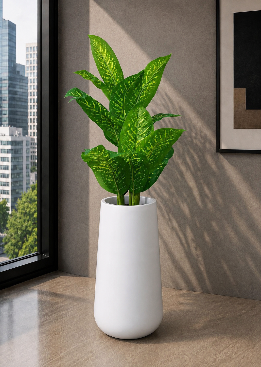 Dumb Cane (PL1177)
