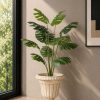 Monstera Plant (PL1133)