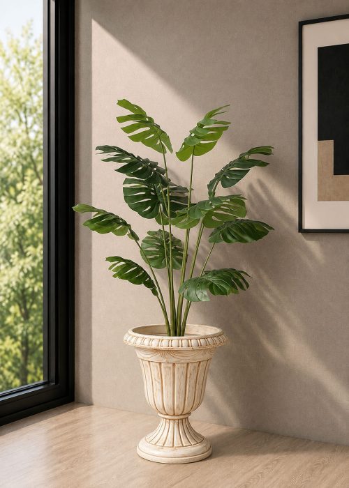 Monstera Plant (PL1133)