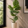 Monstera Plant (PL1135)