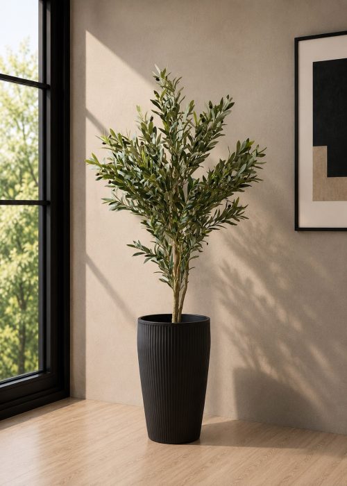 Olive Plant (PL1137)
