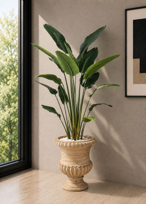 Banana Plant (PL1138)