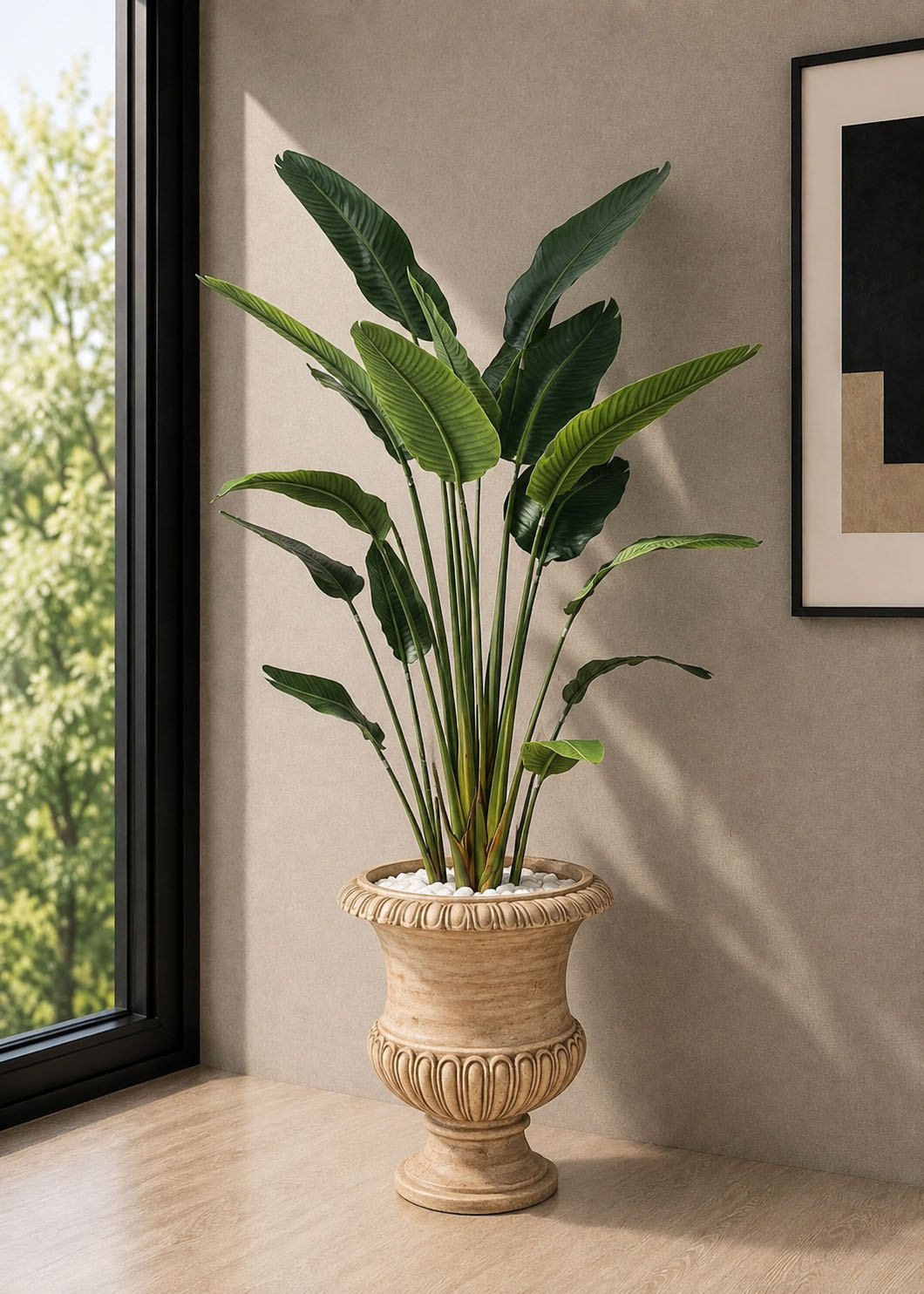 Banana Plant (PL1138)