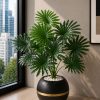 Fan Palm Plant (PL1144)