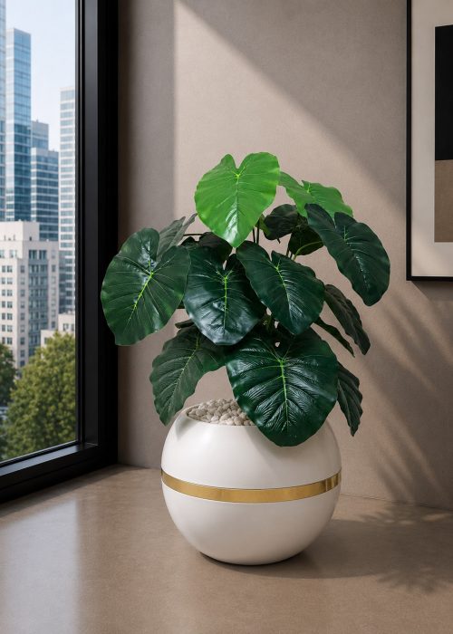 Elephant Ear Plant (PL1145)