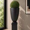Boxwood Topiary Ball (PL1150) With Black Fiber Urn & Pedstal