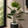 Premium Deliciosa Plant with Planter (PL1151)