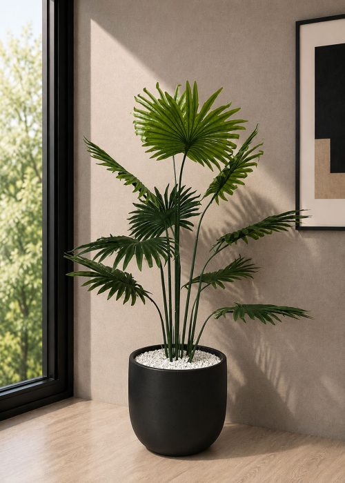 Premium Deliciosa Plant with Planter (PL1151)