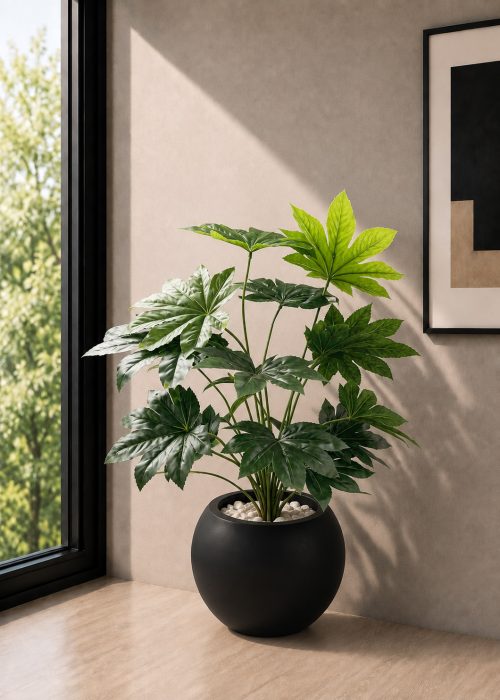 Fan Palm (PL1160)