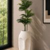 Face Planter (PL1163) With Palm PLant