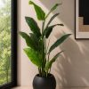 Tropical Green Plant (PL1165)