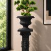 Bonsai Topiary Tree (PL1166)