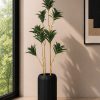 Dracaena Plant With Planter (PL1167)