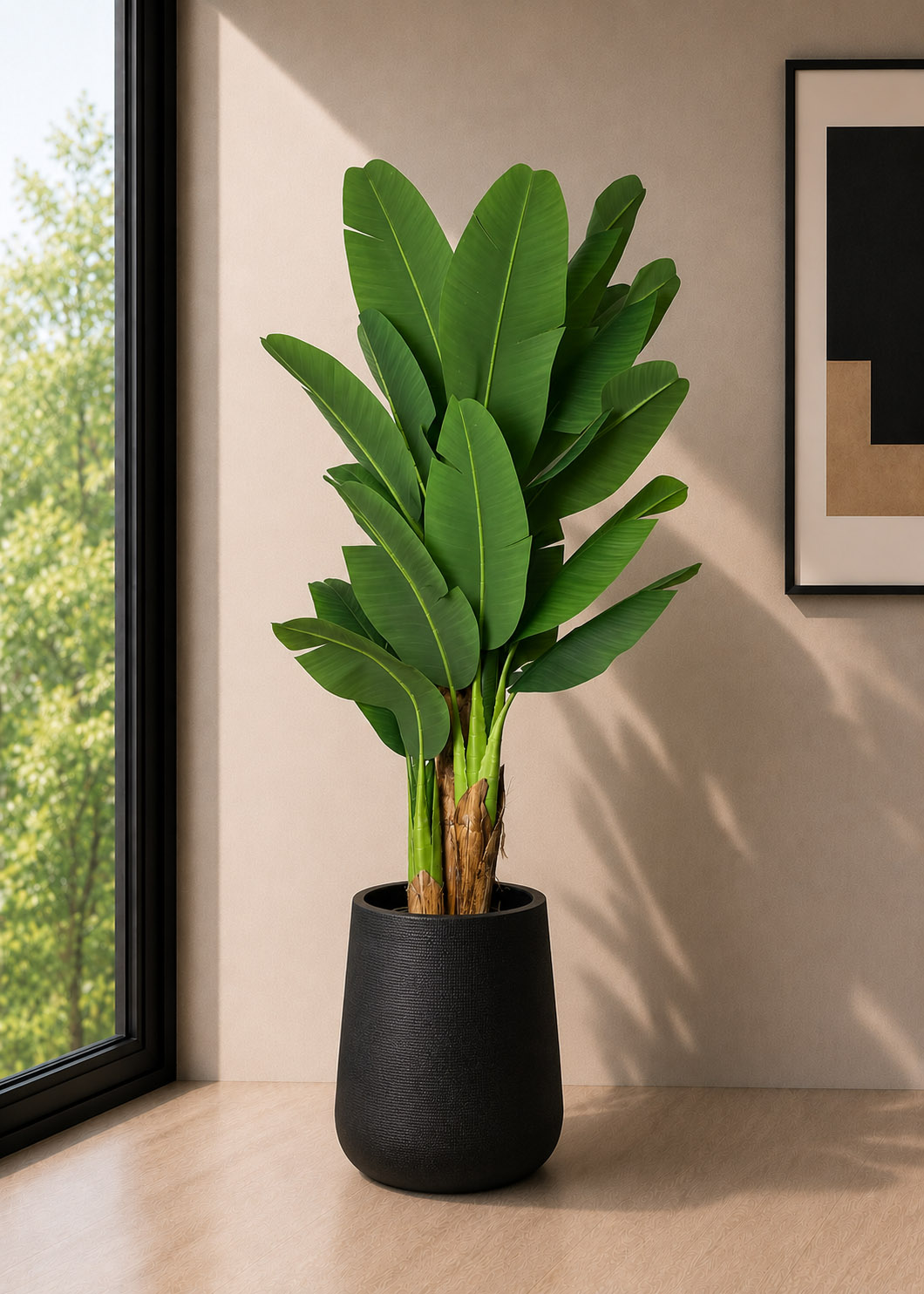 Banana Plant (PL1168)