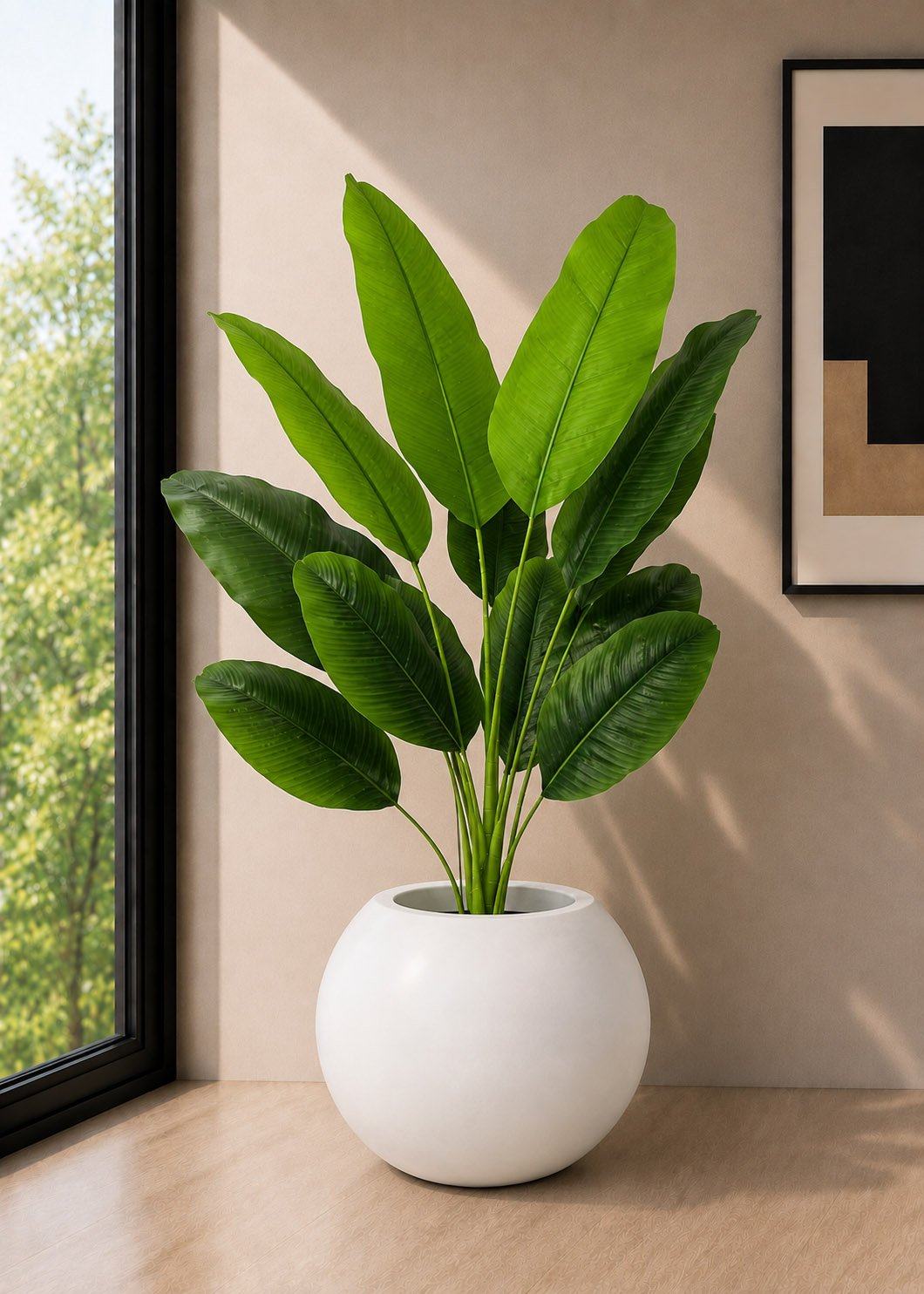 Banana Plant (PL1169)