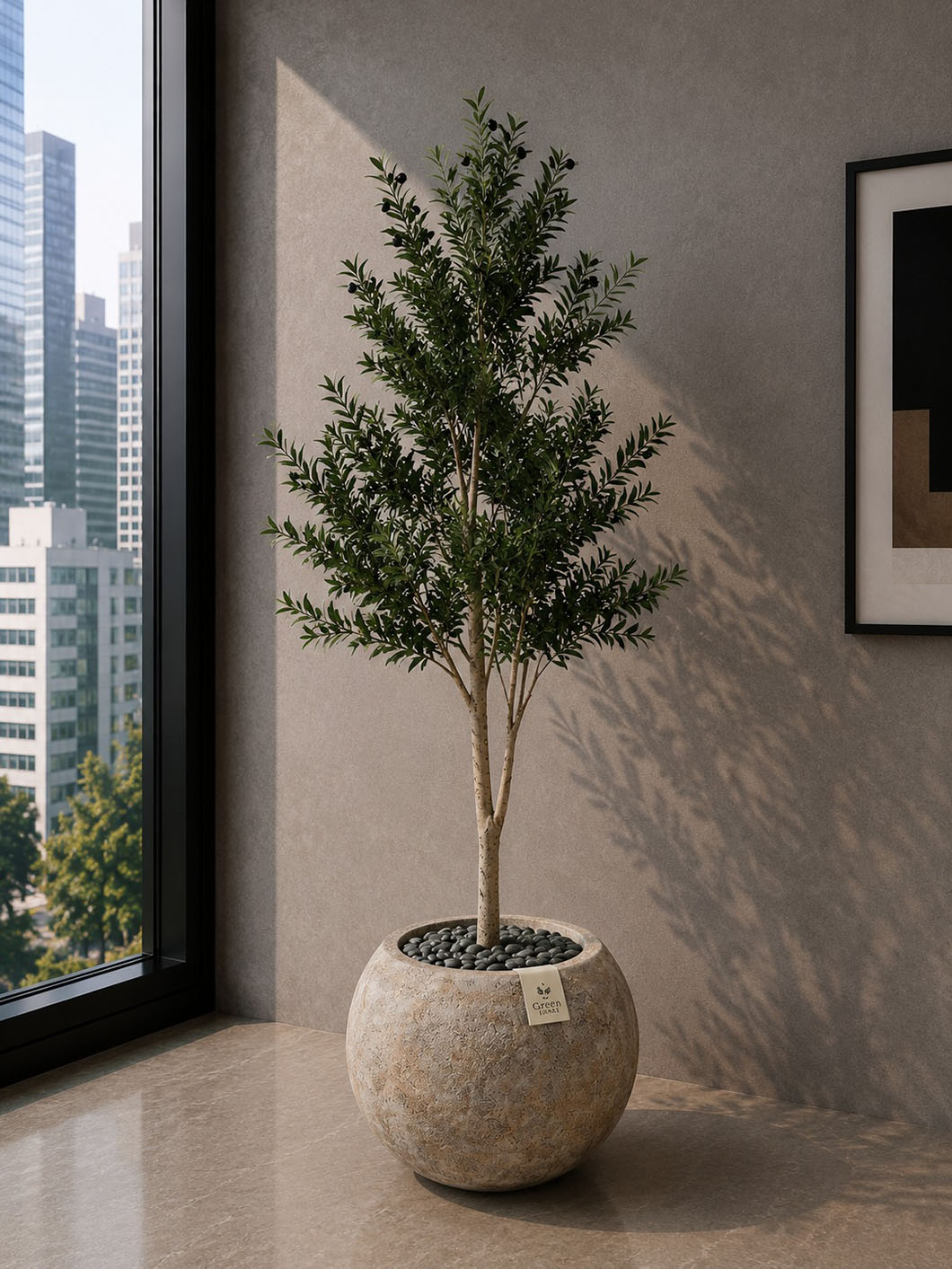 Olive Tree (PL1171)