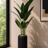 Bird of Paradise Plant (PL1172)