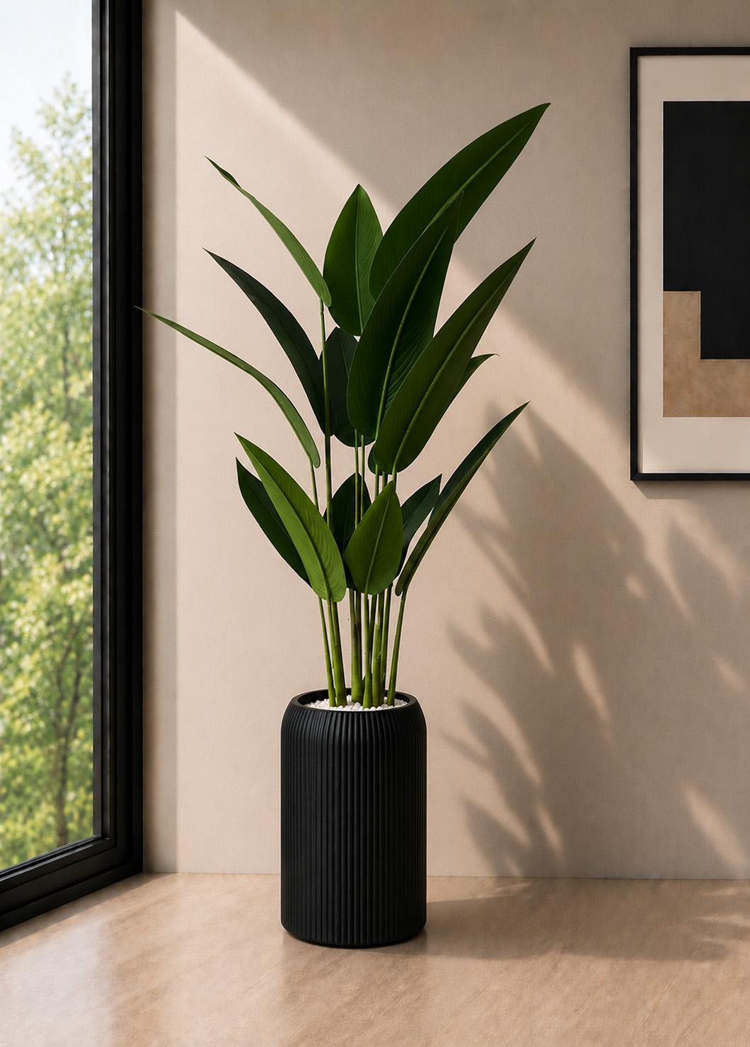 Bird of Paradise Plant (PL1172)