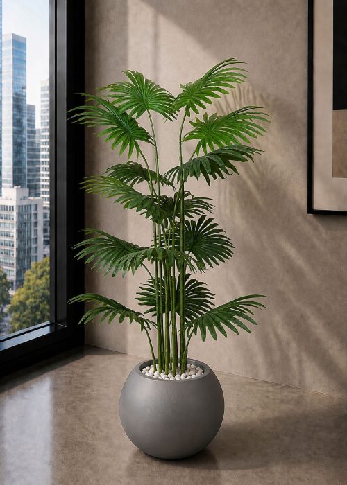 Fan Palm (PL1173)