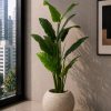 Tropical Green Plant (PL1179)
