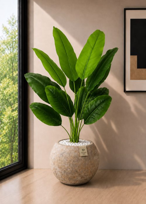 Banana Plant (PL1183)