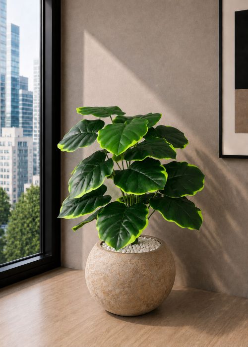 Pothos Plant (PL1184)