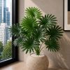 Fan Palm Plant (PL1186)