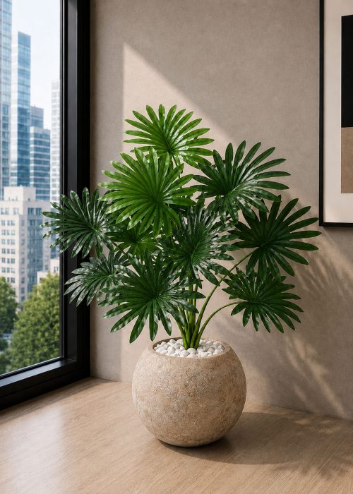 Fan Palm Plant (PL1186)