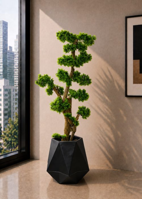 Bonsai Tree (PL1189)