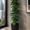 Monstera Plant (PL1190)