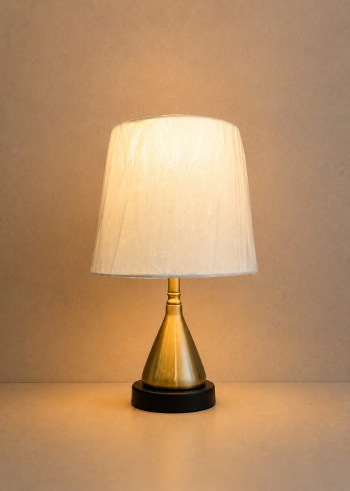 Table Lamp (TL1009)